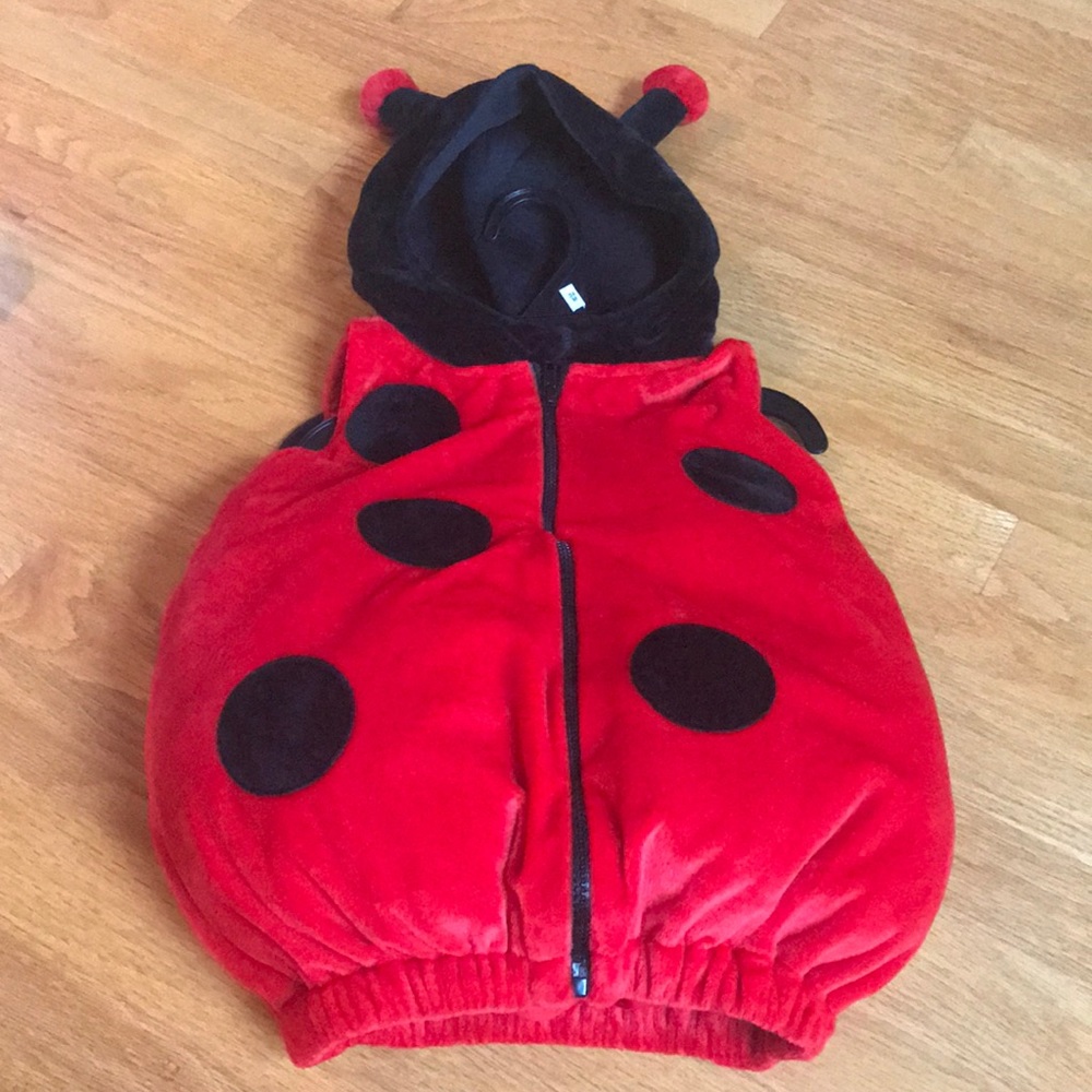 Candy corn lane toddler 🐞 ladybug costume